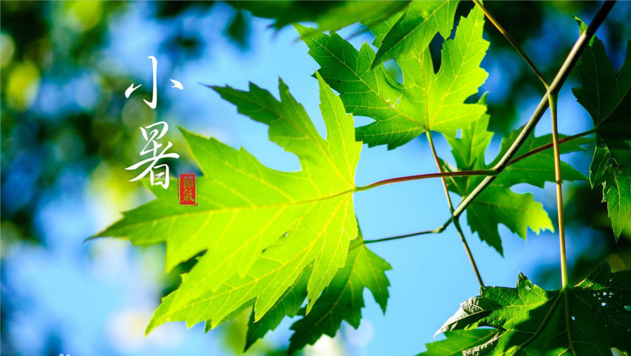 微信圖片_20220707083013.png 微信圖片_20220707083013.png